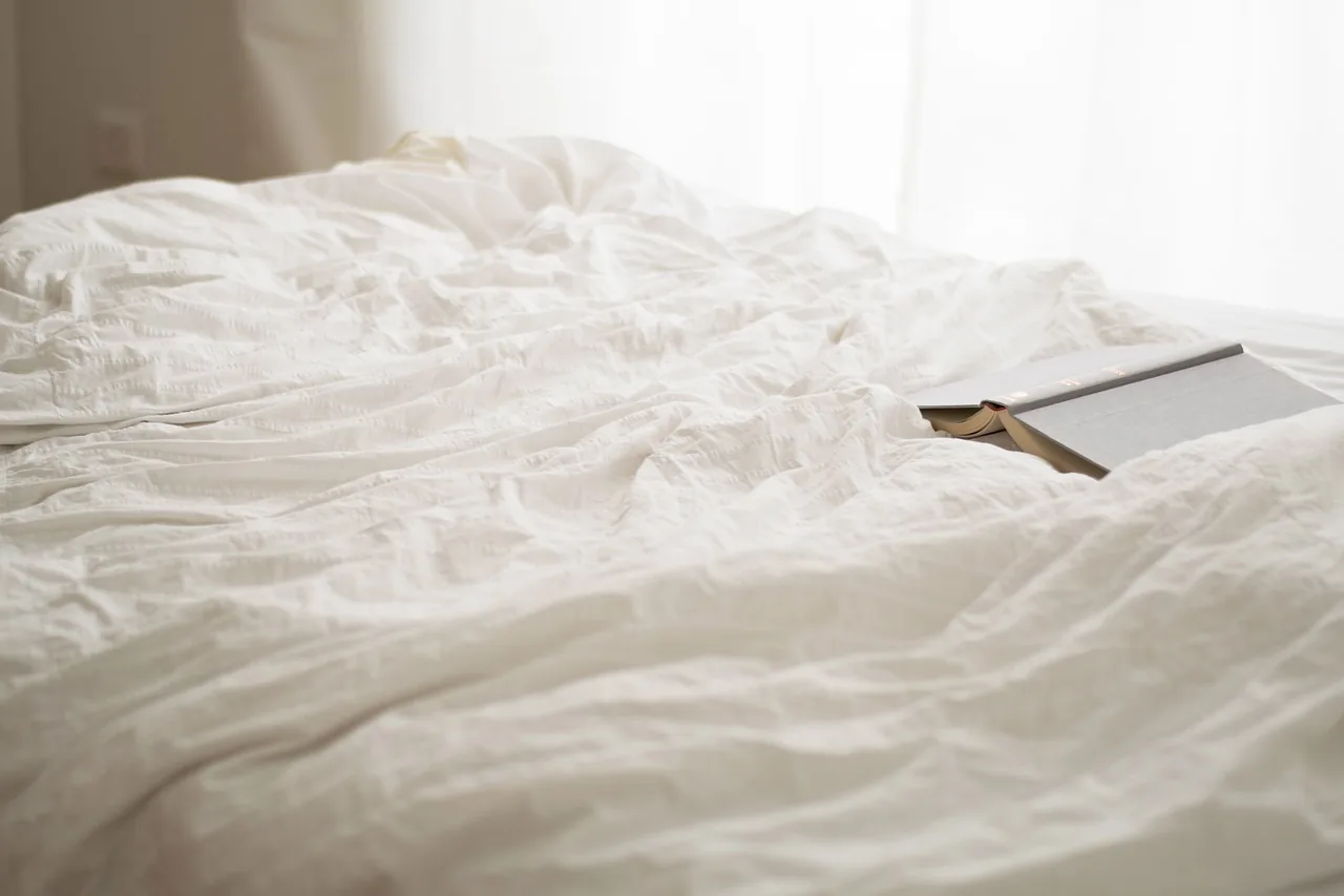 Types de lit en métal, choisir le lit en métal idéal pour votre maison